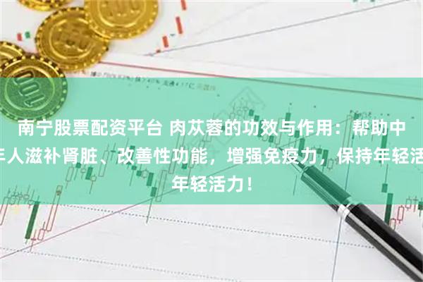 南宁股票配资平台 肉苁蓉的功效与作用：帮助中老年人滋补肾脏、改善性功能，增强免疫力，保持年轻活力！