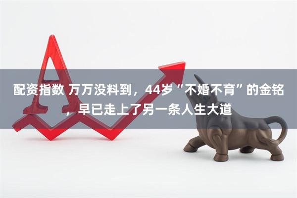 配资指数 万万没料到，44岁“不婚不育”的金铭，早已走上了另一条人生大道