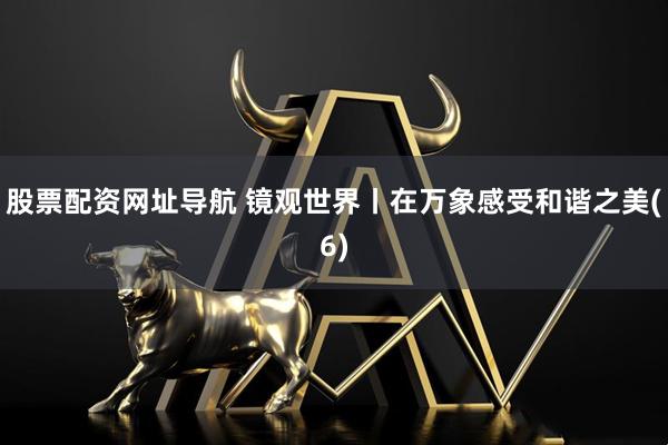 股票配资网址导航 镜观世界丨在万象感受和谐之美(6)
