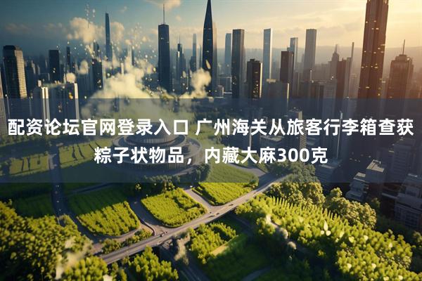 配资论坛官网登录入口 广州海关从旅客行李箱查获粽子状物品，内藏大麻300克