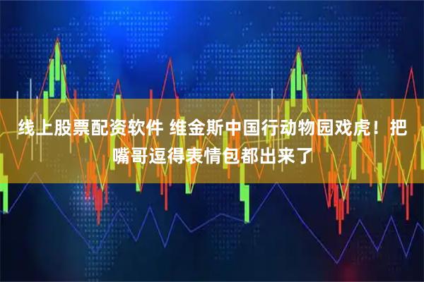 线上股票配资软件 维金斯中国行动物园戏虎！把嘴哥逗得表情包都出来了