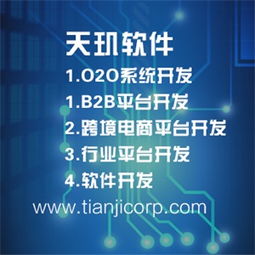 轻app开发 天玑软件sell b2b网站开发